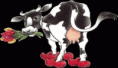 /album/galerie-de-photos-les-vaches/pge7uwao-1-gif/